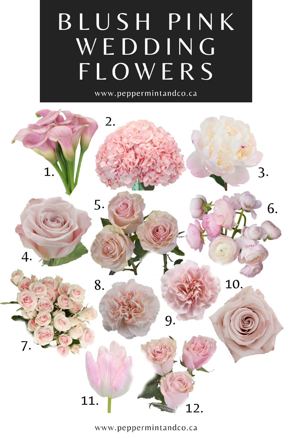 Blush Pink Wedding Flowers: DIY Bouquet & Centerpieces